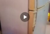 PEL fridge for sale 