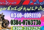 Army Dog Center thatta 03040763736