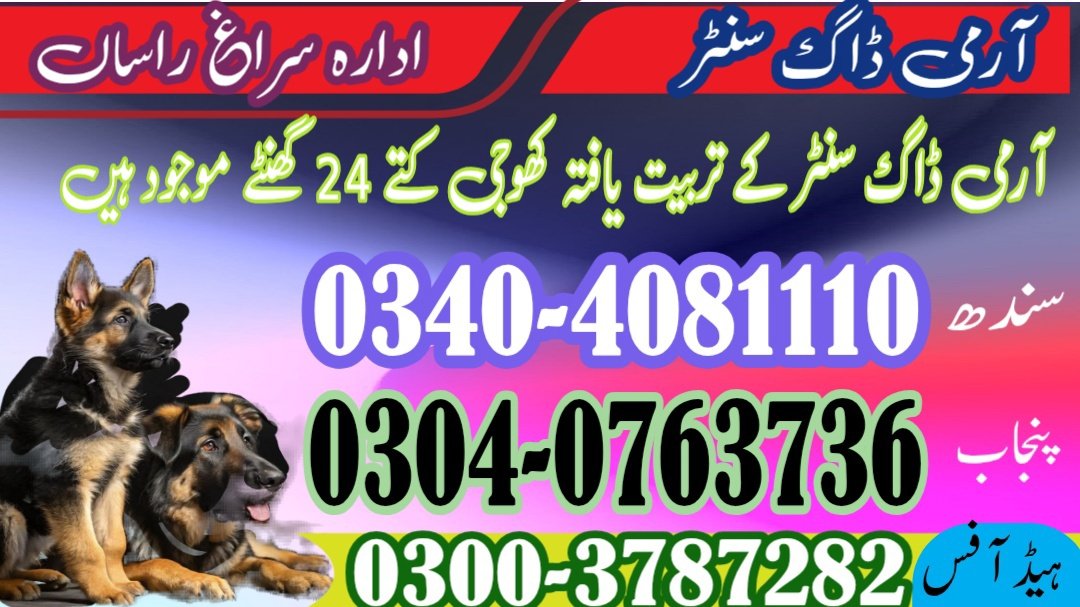 Army Dog Center thatta 03040763736