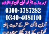 Army Dog Center thatta 03040763736