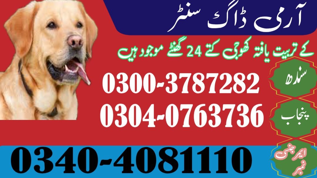 Army Dog Center Sujawal 0326-8768029