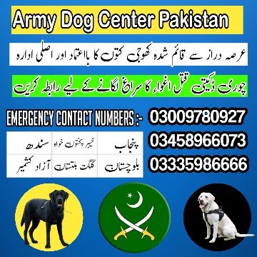 Army Dog Center Mardan 03009195279 Khoji Dogs