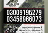 Army Dog Center 03009195279 | Khoji Dog Contact Number