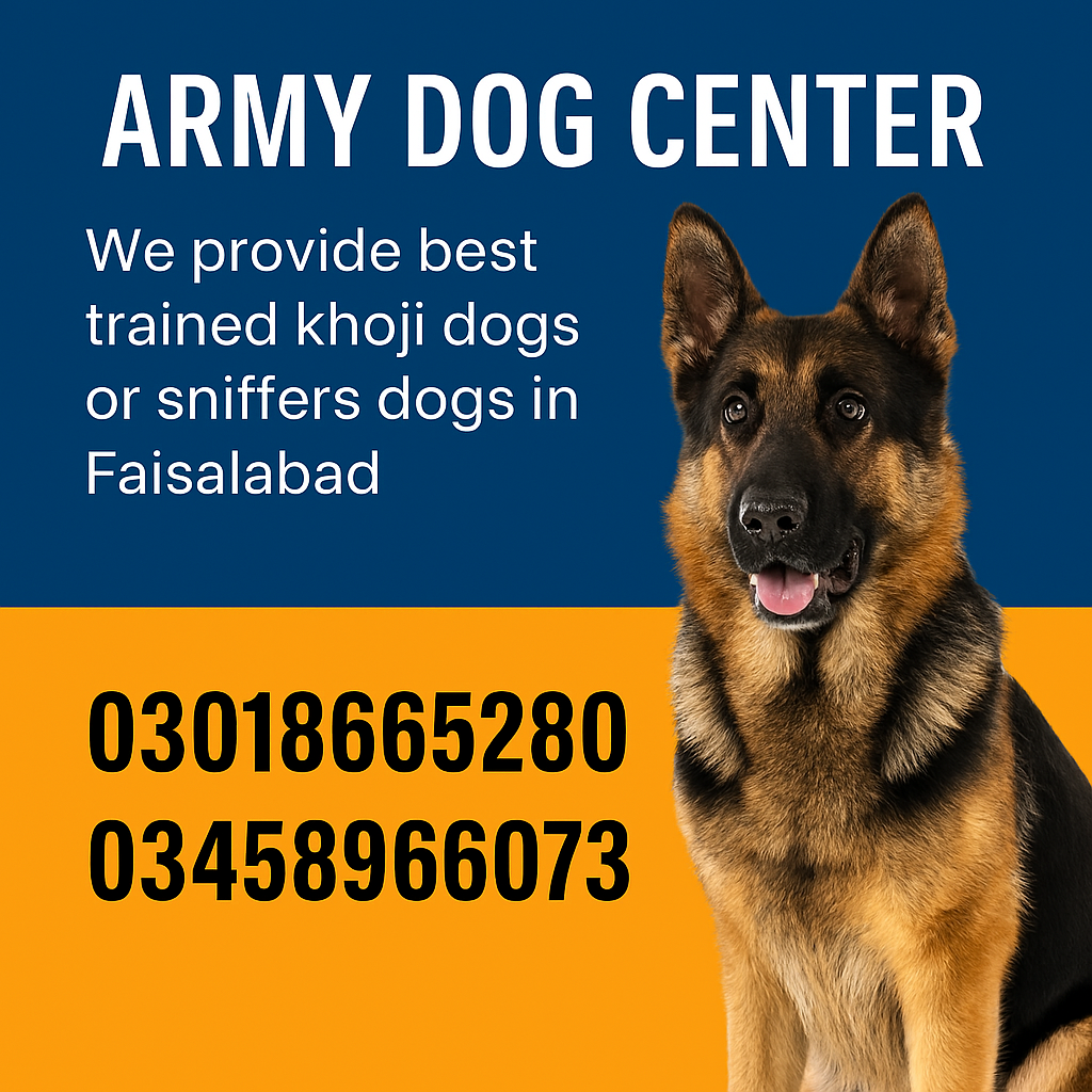 Army Dog Center 03009195279 | Khoji Dog Contact Number