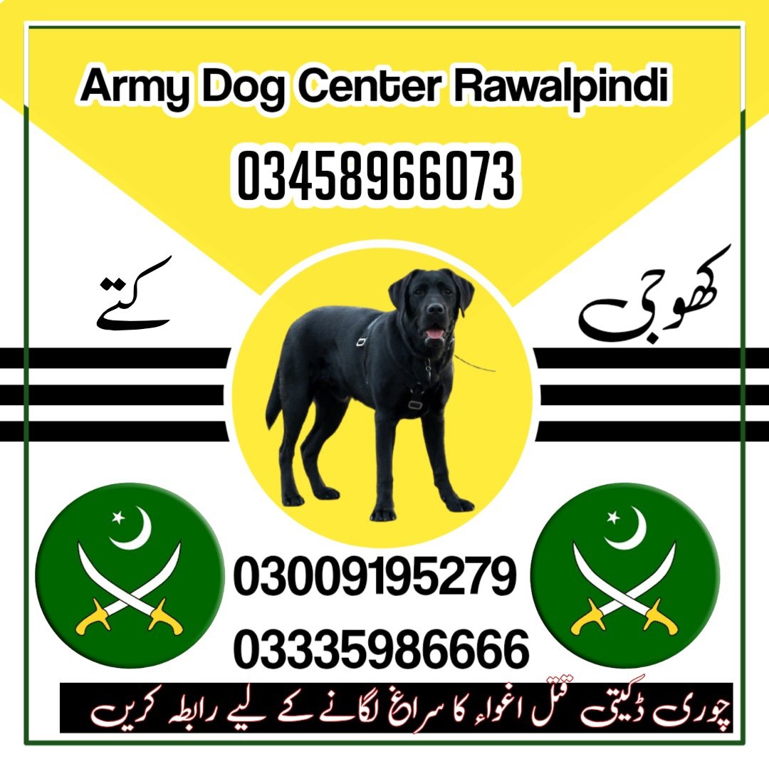 Army Dog Center Mardan 03009195279 Khoji Dogs