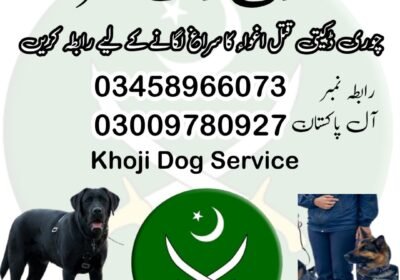 square-1-1-1738685097491