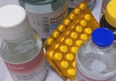 Meds