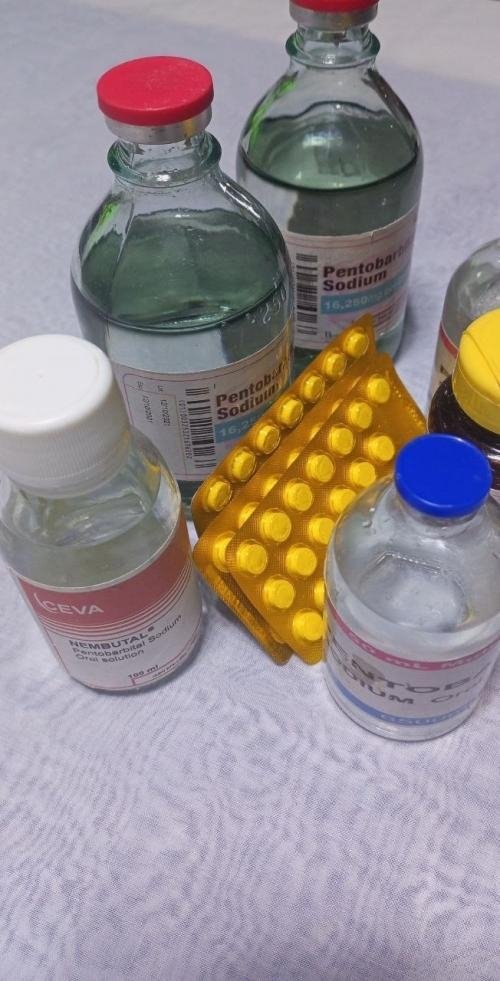 cyanide,Nembutal, farxiga,botox,trazadone,methadone,consent