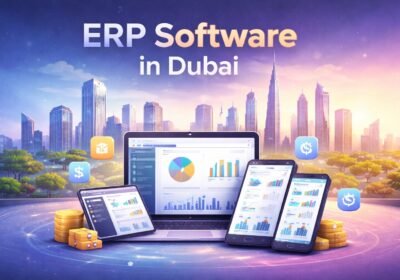 erp-software-indubai-cherrie-business-solution