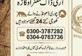 Army dog center okara 03040763736