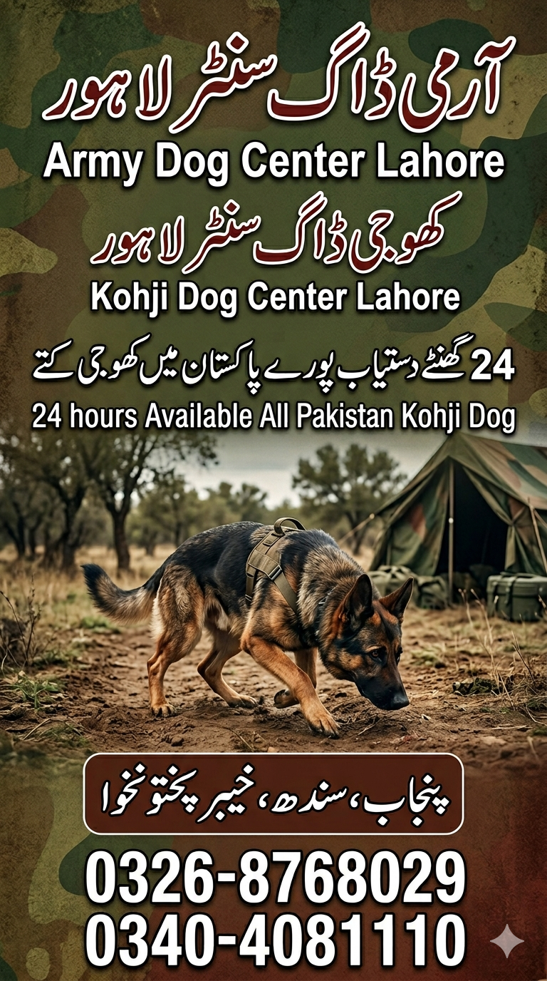Army dog center okara 03040763736