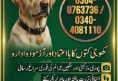 Army dog center okara 03040763736