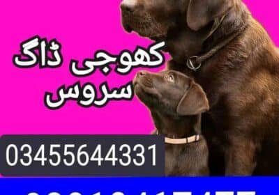 b603be5ef03653f008e2de7d44419cc83d1fbfd557169614a4a87bc957d08332.0