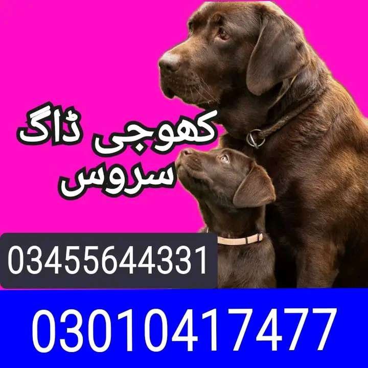 Army dog center 03010417477 (کھوجی ڈاگ)