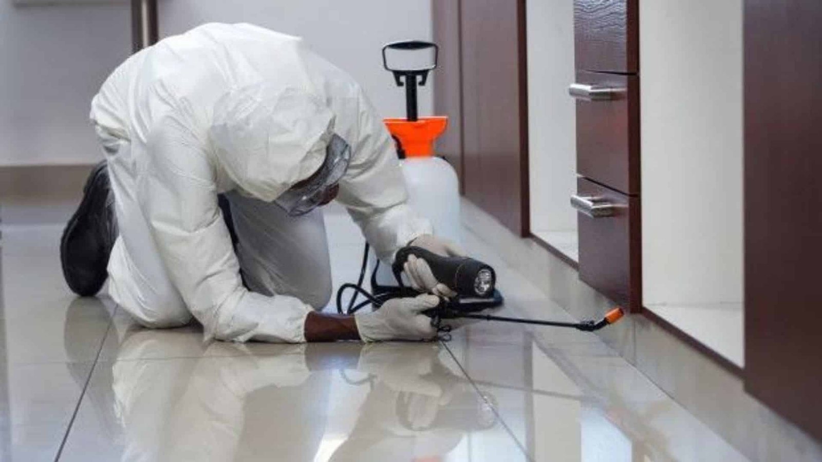 Say Goodbye to Pests: Professional & Guaranteed Insect Contr