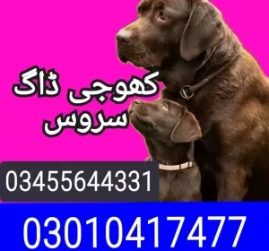 1000085636
