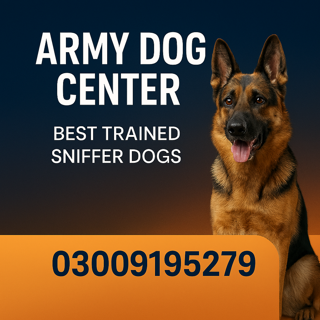 Army Dog center 03458966073 (khoji dog contact number)