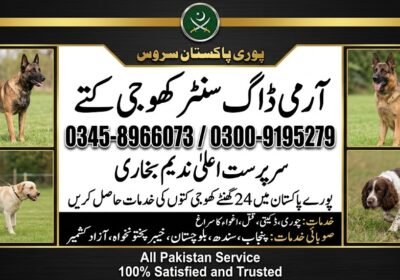 multan-4