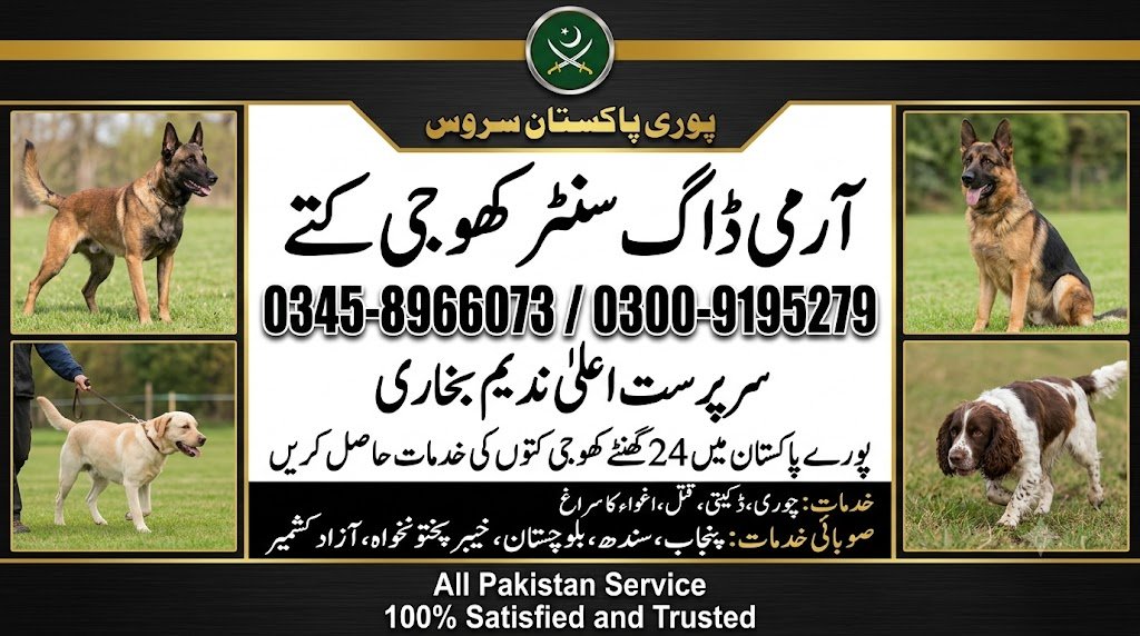 Army Dog center 03458966073 (khoji dog contact number)