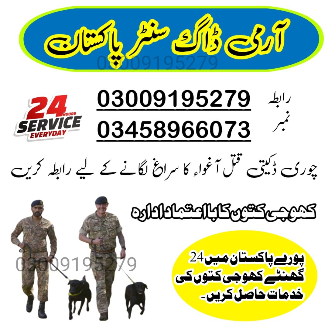 Army Dog center 03458966073 (khoji dog contact number)