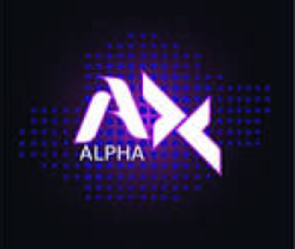 Axe Alpha Tech – Web Development Services