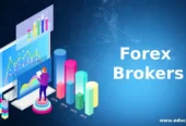 Forex Brokerage