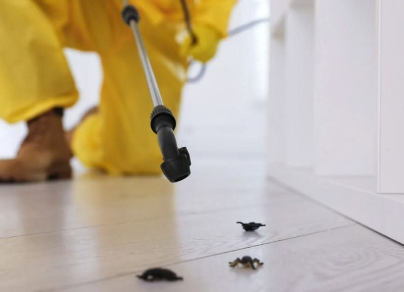 Insect Control