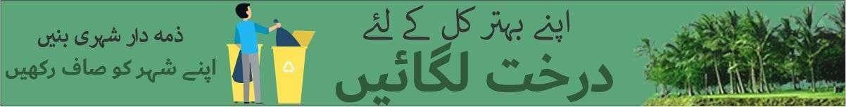 Clean and green Pakistan a public service message from new day ad 1200x150