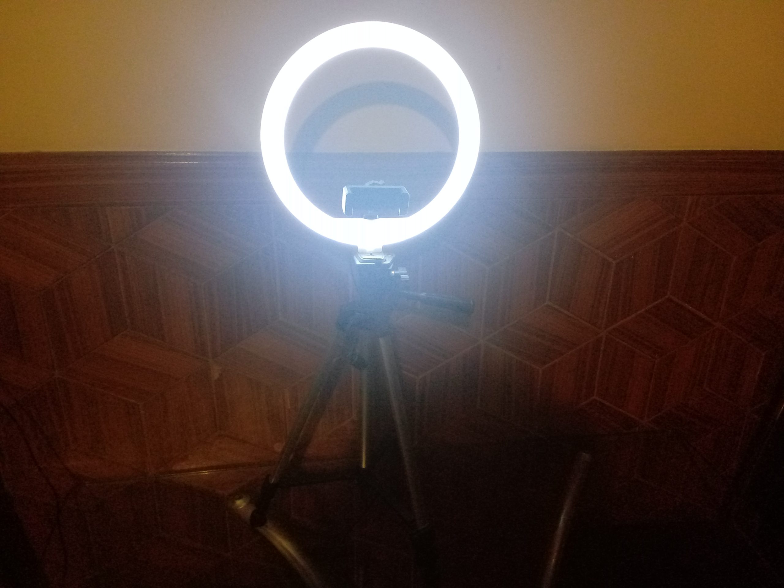 Mobile Video Recorder Trypot With Light