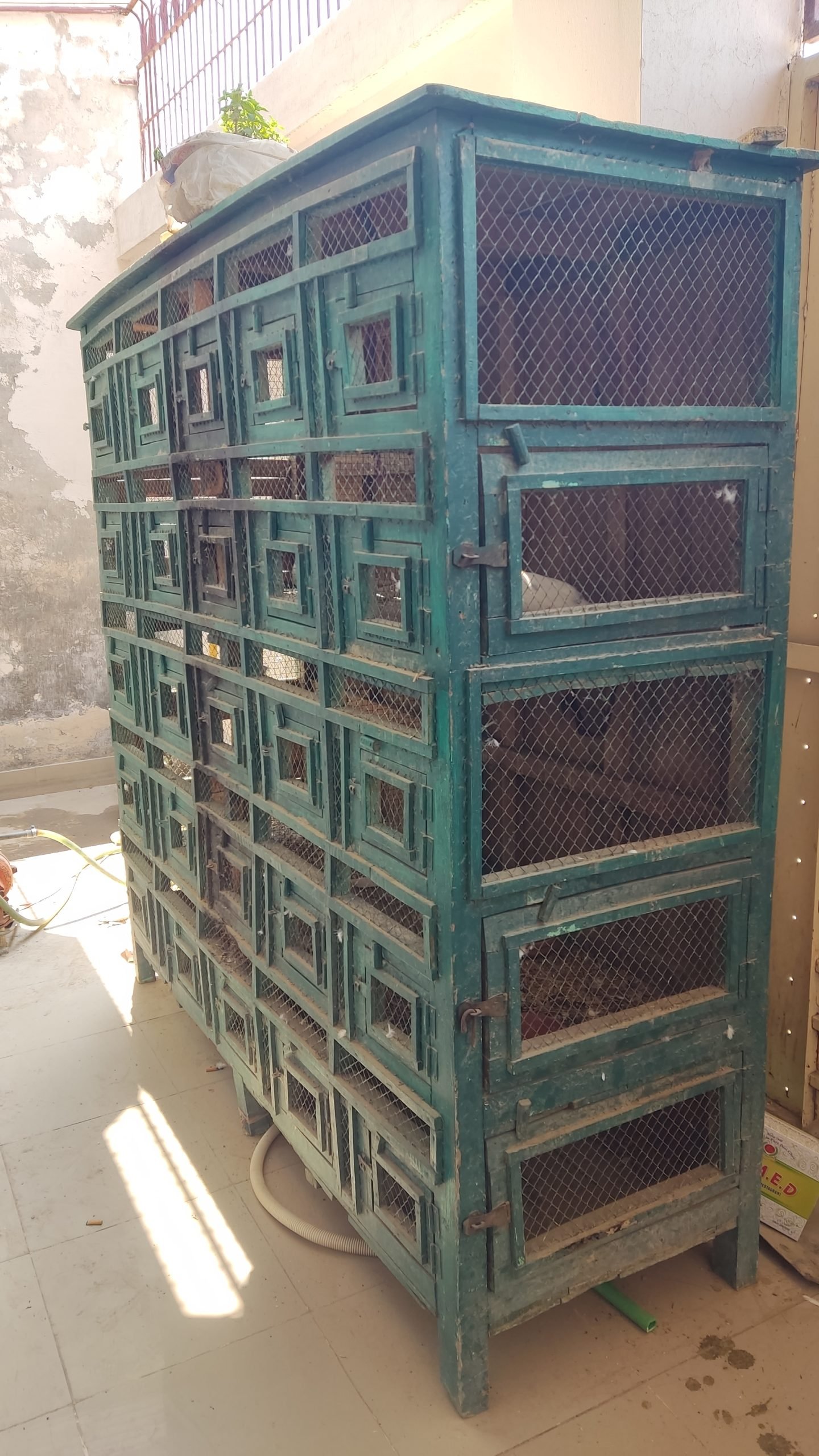 Wooden cage for lovebirds