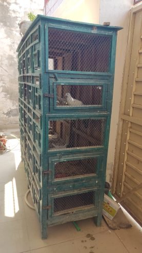 Wooden cage for lovebirds