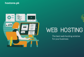Server Company-Secure And Reliable Web Hosting In Pakistan