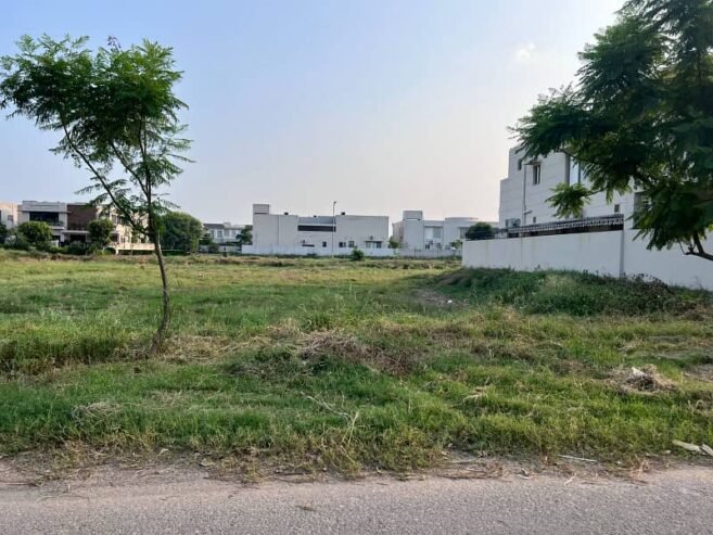 1 Kanal Plot For Sale In DHA Phase 7 Y Block