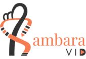 SambaraVid – Video editing and 2d animation services.