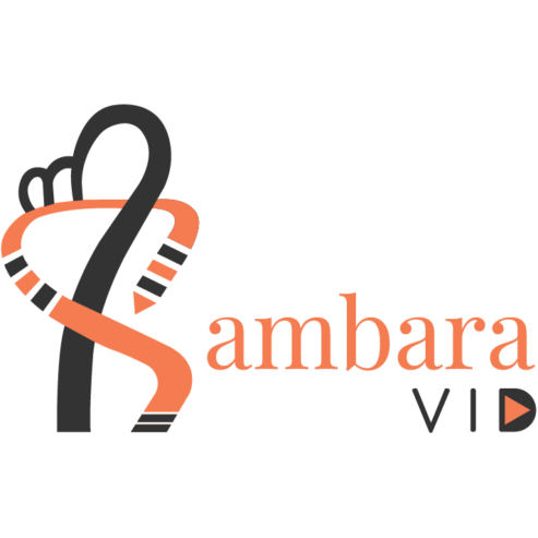 SambaraVid – Video editing and 2d animation services.