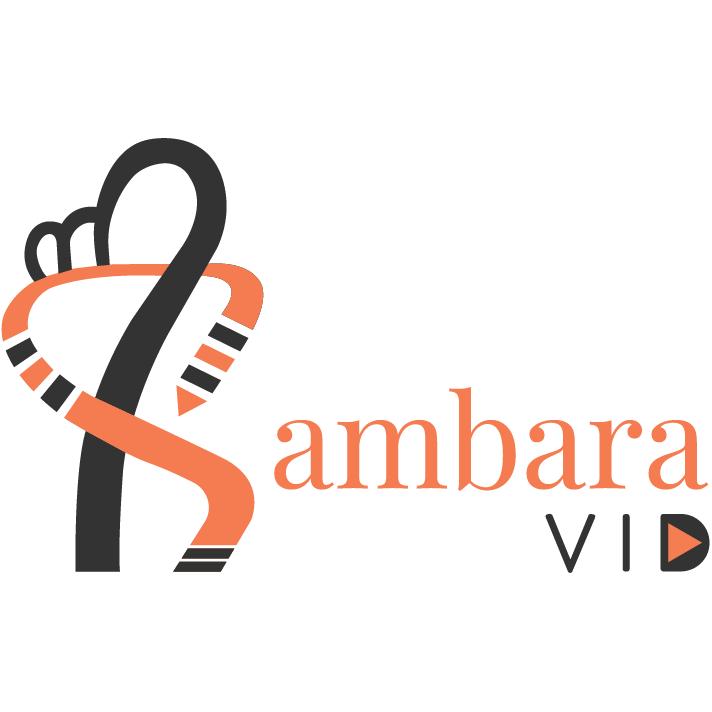 SambaraVid – Video editing and 2d animation services.