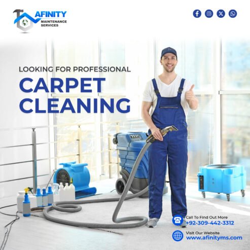 Professional Rug OR Carpet Cleaning Services in Lahore