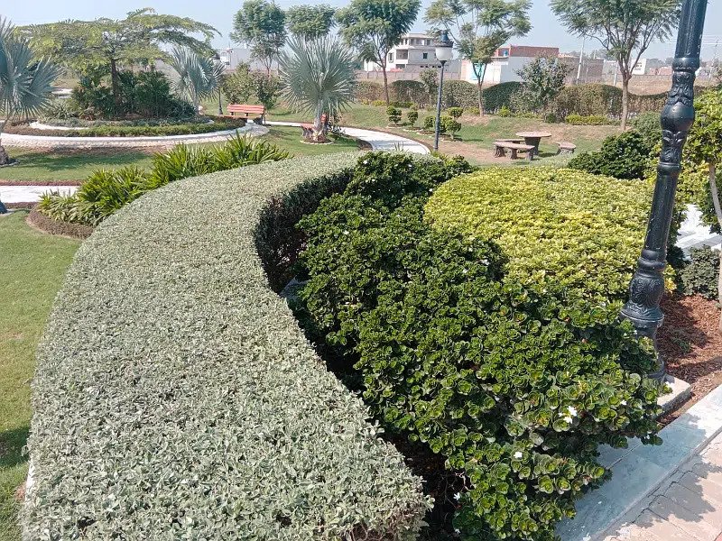 10 Marla Plot For Sale