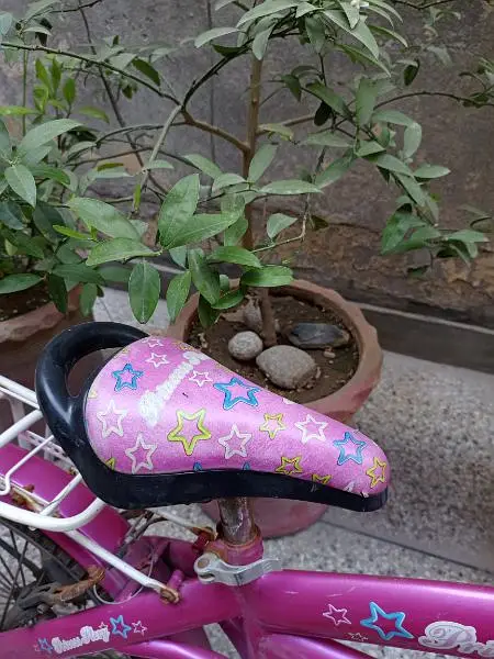 Kids Cycle – Girls Cycle – Barbie Pink Cycle