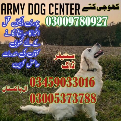 Army Dog Center Khuzdar 03005373788
