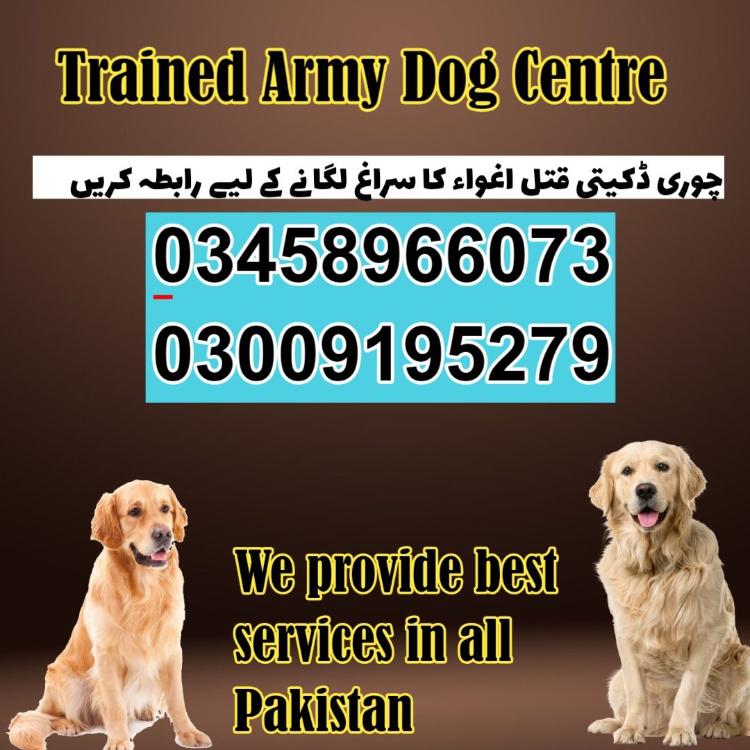 Army Dog Center Multan 03018665280 | کھوجی کتے
