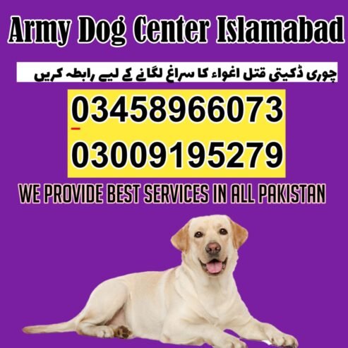 Army Dog Center Islamabad 03018665280