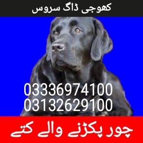 Army dog center Rawalpindi 03132629100