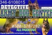 Army Dog Center landi kotal 0340-4081110
