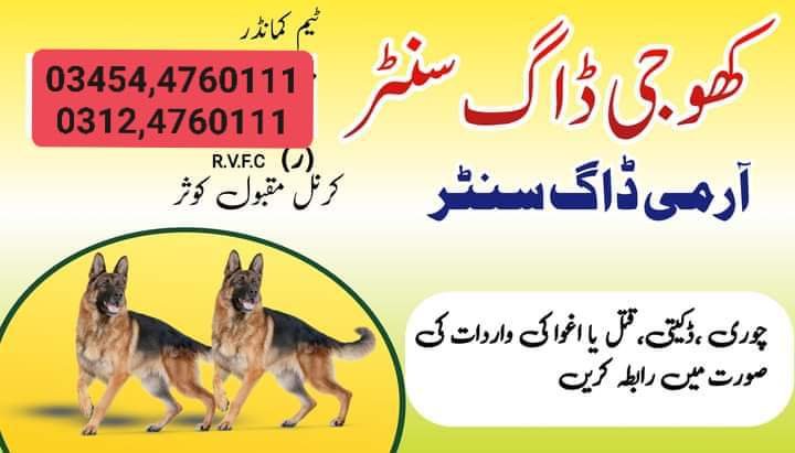 Army Dog Center Jhelum 03454760111