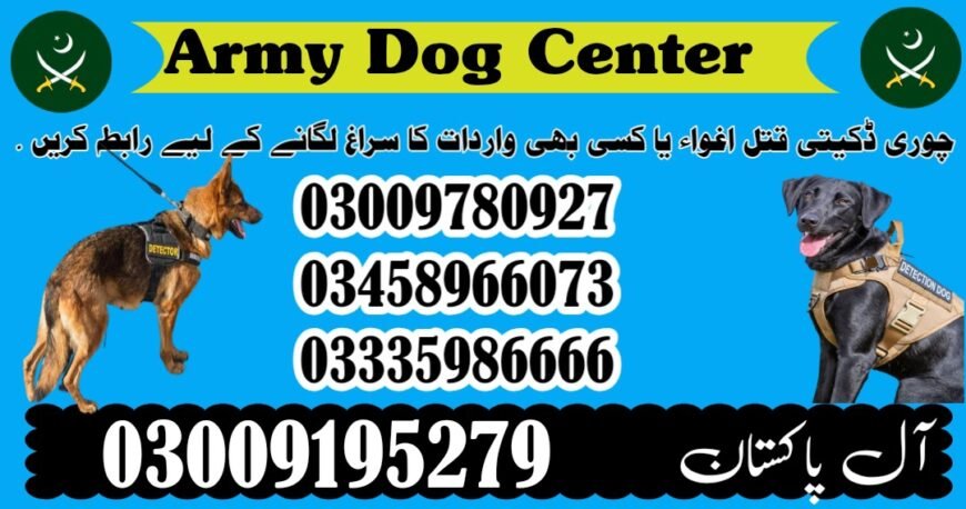 Army Dog Center Okara 03018665280 | Sniffers Dogs