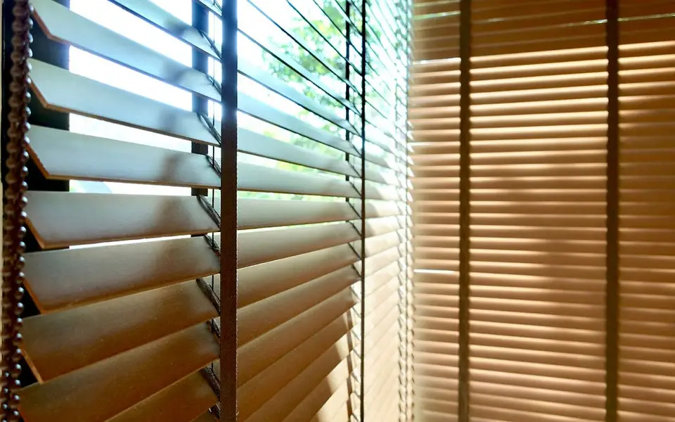 Roller Blinds / Wallpaper / Vinyl Floor / Wooden Floor / Flu