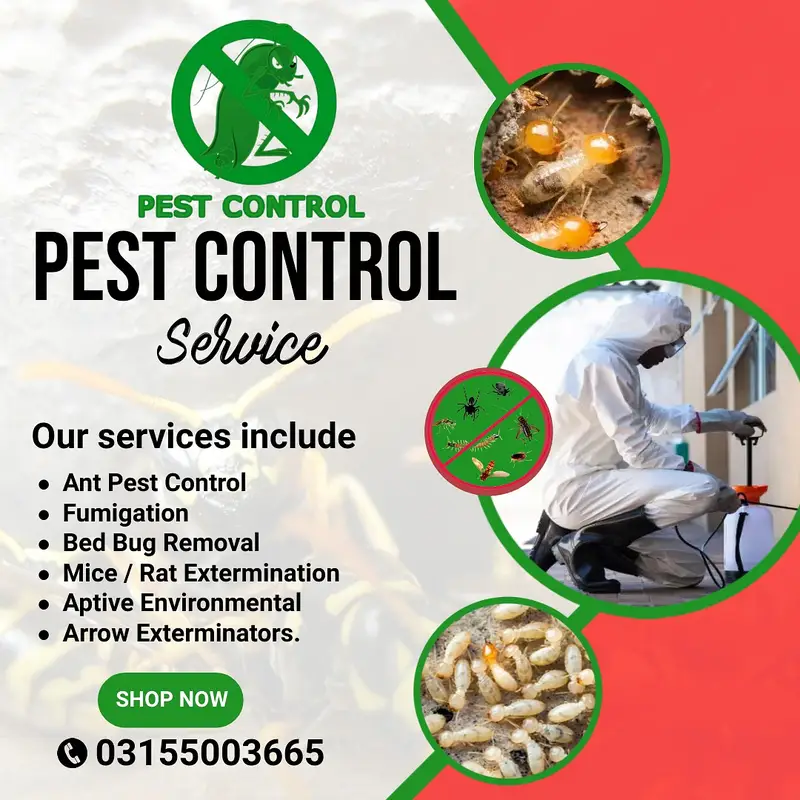 Pest Control – Termite Deemak Control Fumigation Service –
