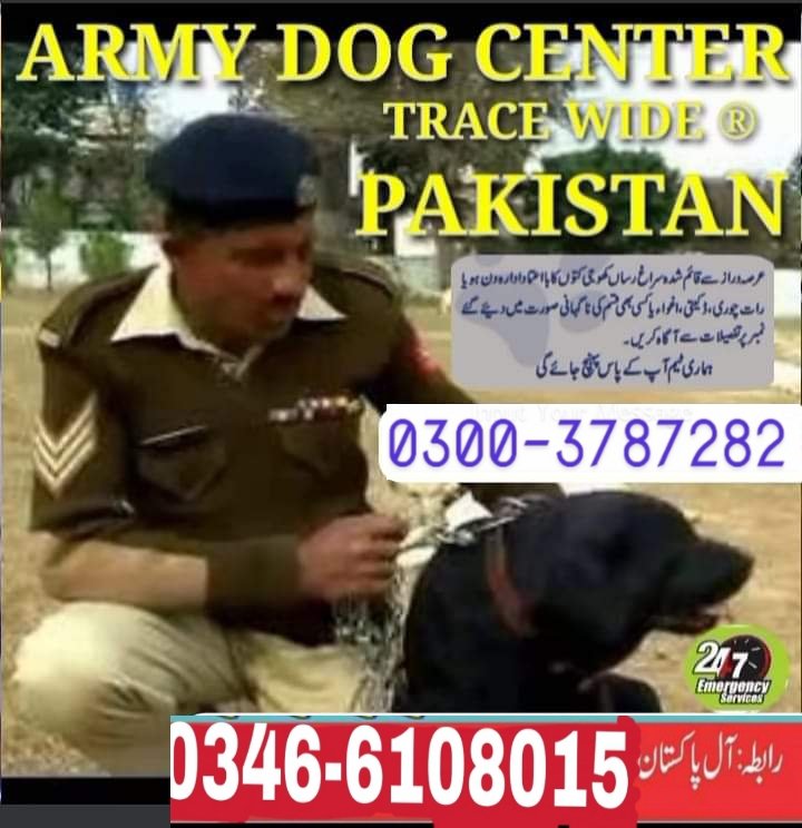 Army dog center okara 0346-6108015