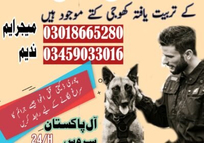 WhatsApp-Image-2024-05-15-at-14.51.00_3227b23d